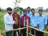 Tree Plantation activities on 15th August 2019 in our college campus 4
